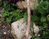 Norse Priestess wand - Gandr - Futhark power