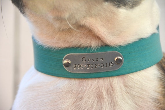Custom Personalized Turquoise Leather Dog Collar with by PupPlanet