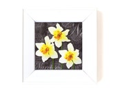 Napkin serviette for decoupage x 1.Narcissus . No 1025
