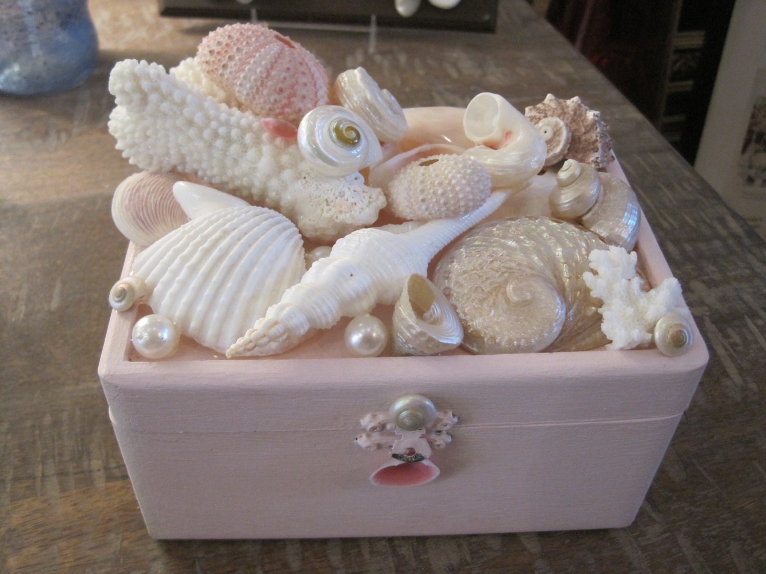 Beach Decor Seashell Jewelry Box Jewelry Box Shell Jewelry