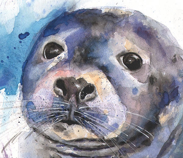 SEAL WATERCOLOR PAINTING sea life art seal print by SignedSweet