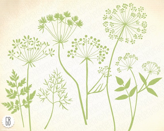 wildkrauter blumen silhouette vektor cliparts lowenzahn