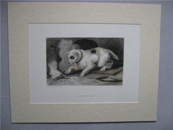 19th Century Landseer Dog Print, "Too Hot To Hold"