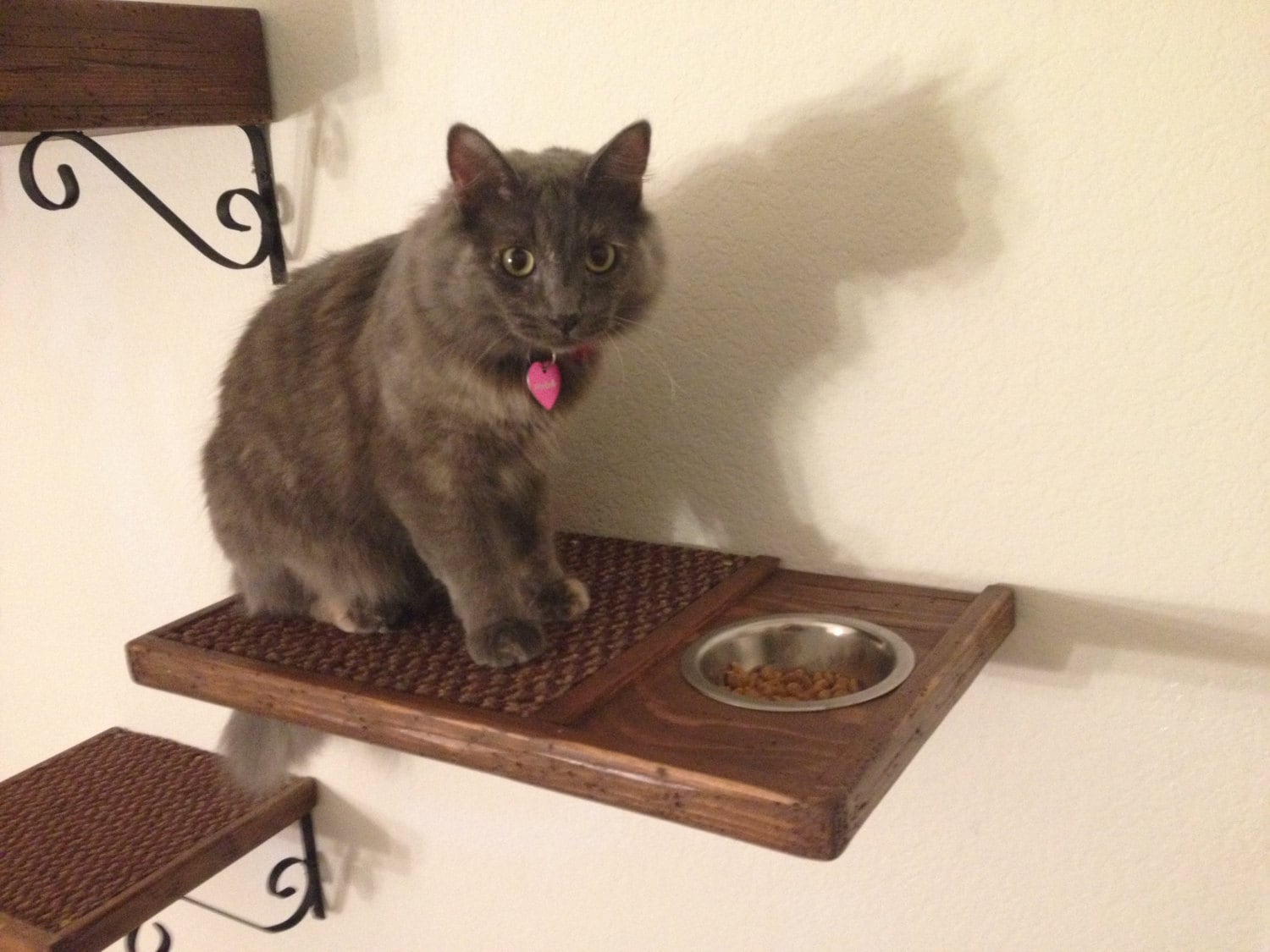 Set of Three One Cat Feeding Shelf One Cat Bed One Cat