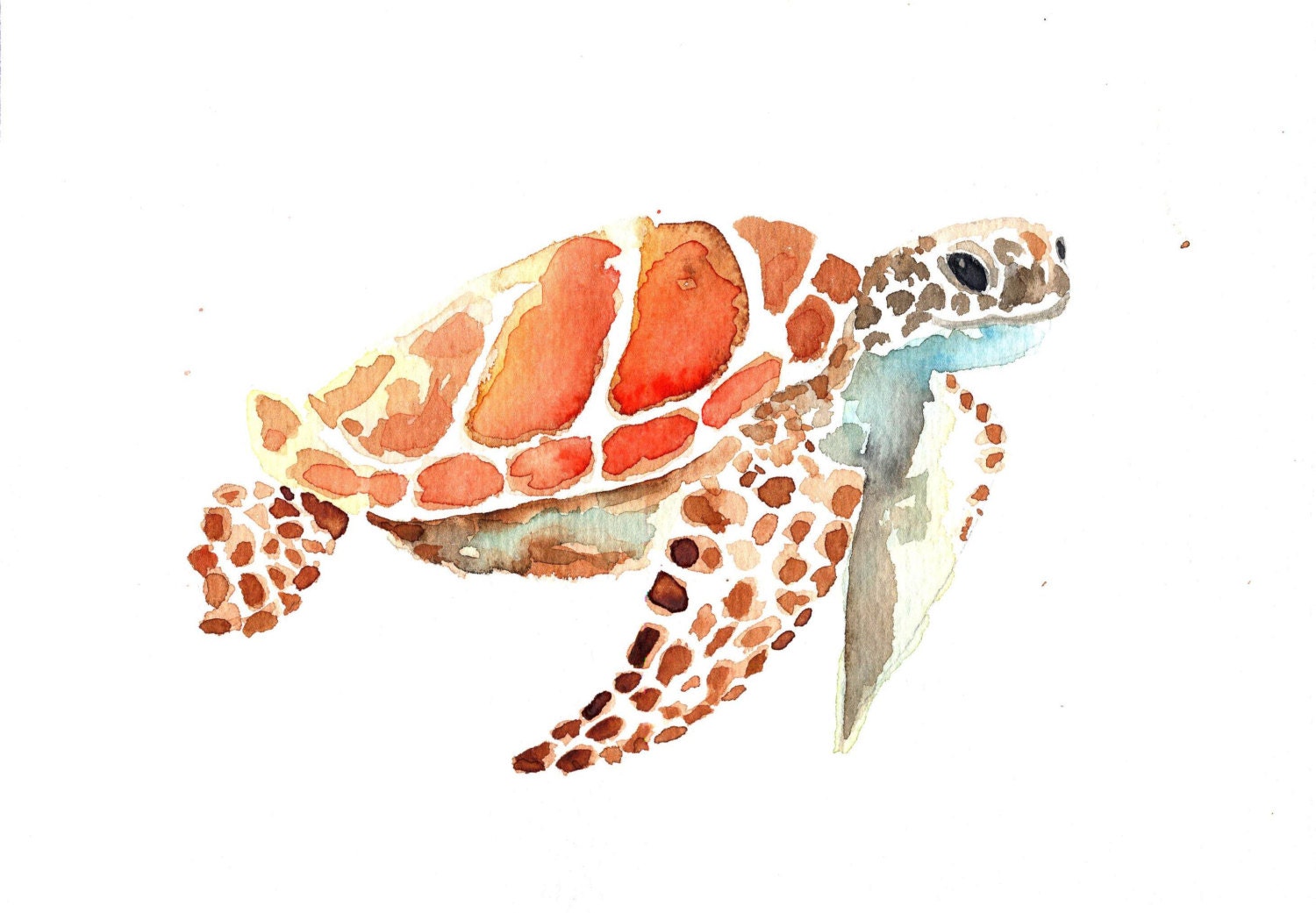 TORTOISE Orginal watercolor painting by Mydrops on Etsy