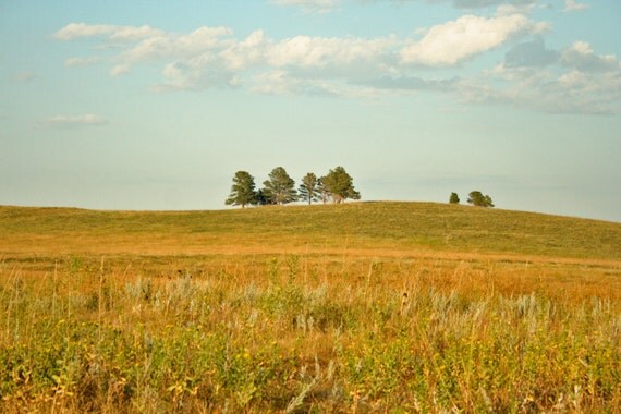 The prairie in South Dakota.