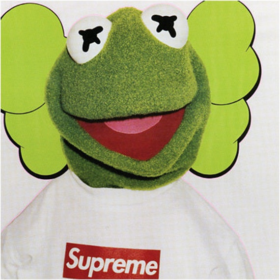 22x28 Print Supreme x Kermit Photo By Terry Richardson Urban