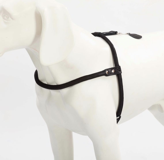 Harnesses: The good, the bad, and the ugly