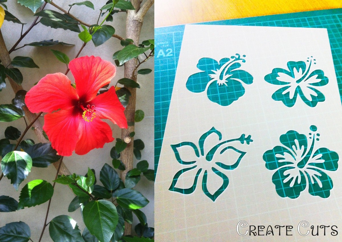 Ibisco fiore set di 4 stencil riutilizzabili per la di createcuts