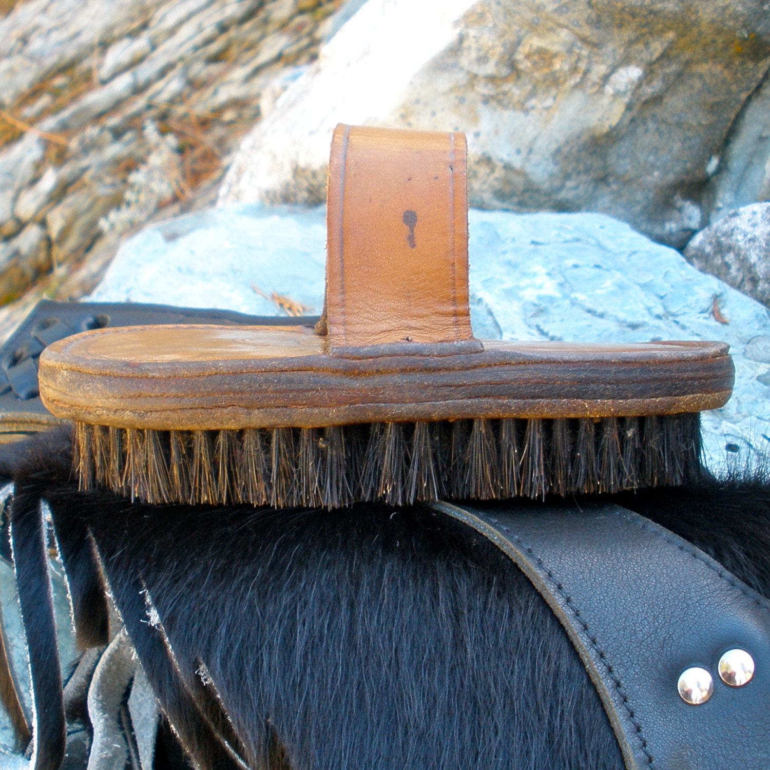 Antique US Calvary Horse Grooming Brush
