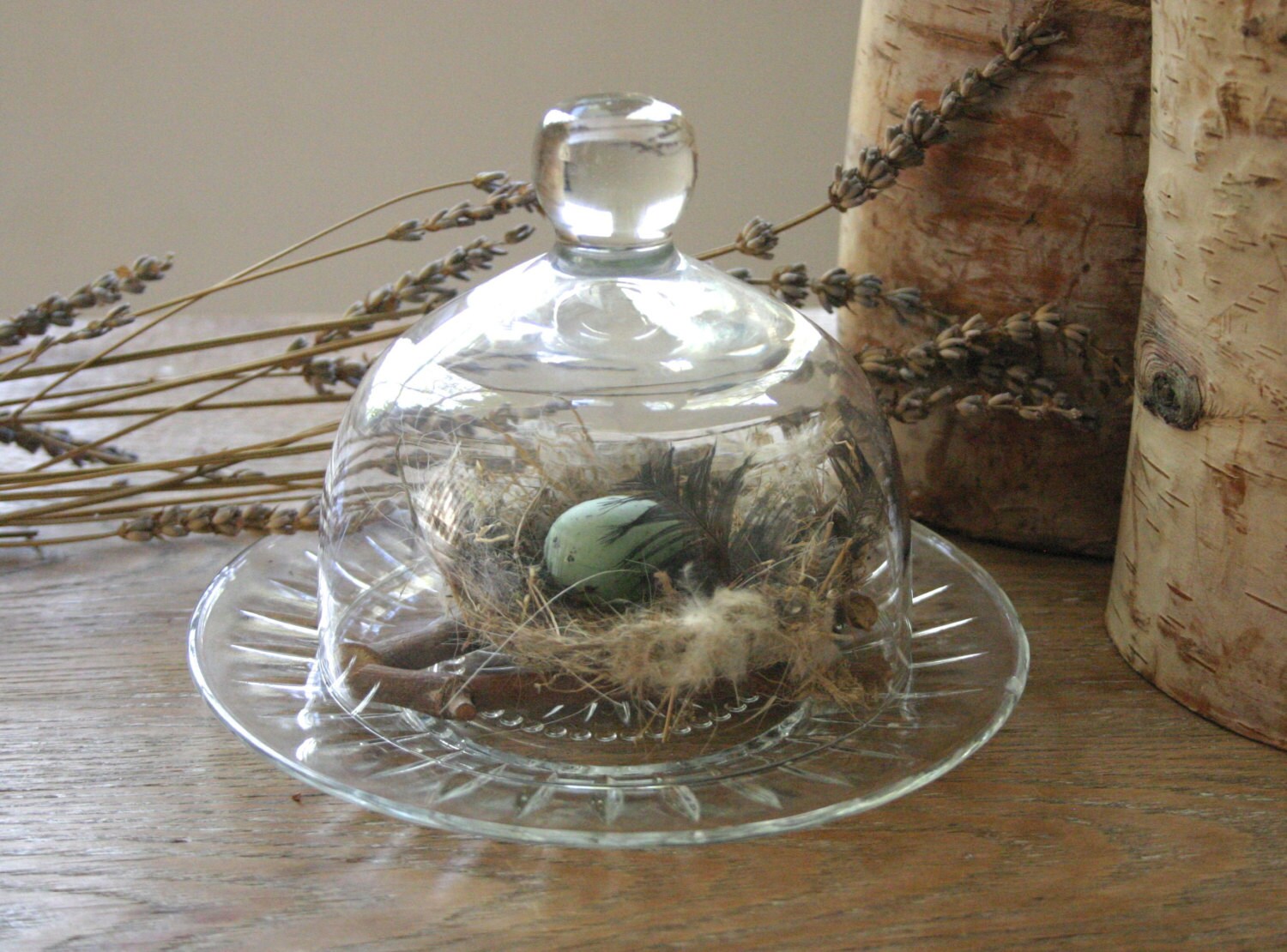 Vintage Glass Cloche