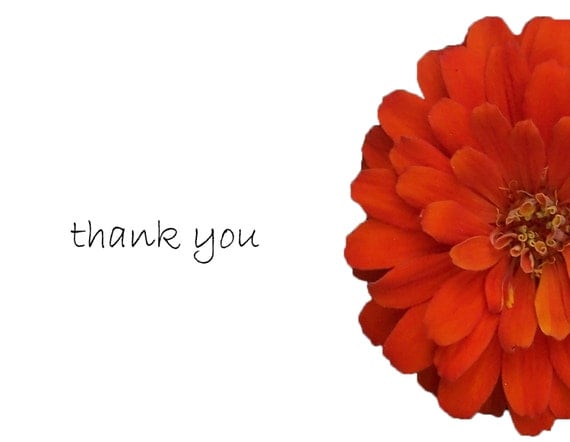 Thank you card: Package of  10 Orange Zinnia flower, personally photographed, package of 10