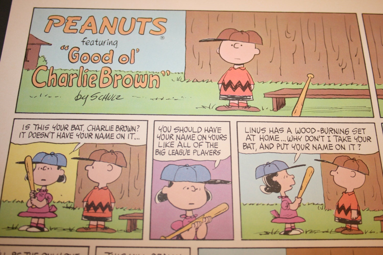 Charlie Brown Baseball Peanuts Comic Strip Retro Cartoon of