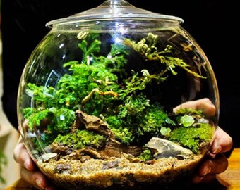Glass Terrarium Container Bell Jars with Cover (Large)