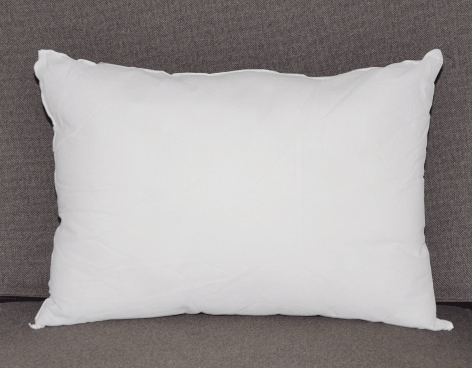 poly filler pillow