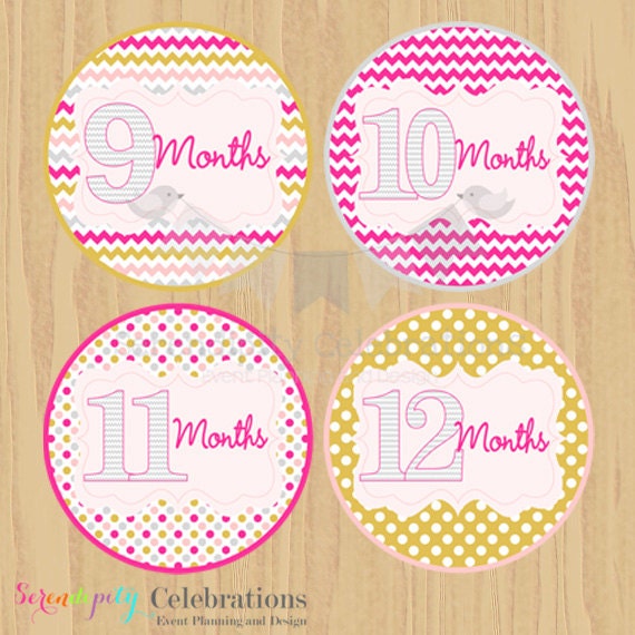 Instant Download: DIY Printable Baby Monthly Stickers Baby