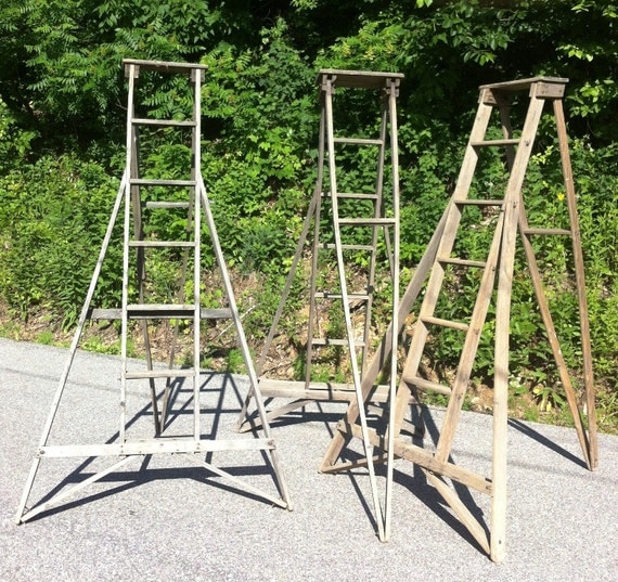 Old Vintage Orchard Apple Ladder from Wisconsin Unusual