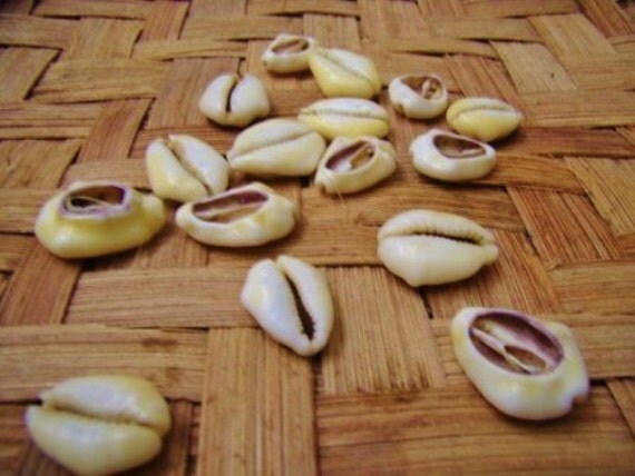 Orisa Reading Cowrie Shell Divination Psychic Reading 2 Hour + Spirit Medium Yoruba Ifa Orisa Santeria Lucumi Macumba