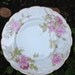 Rosenthal Bauer Rosenthal & Co Viola Germany China Floral Dessert Plates Set Of 4