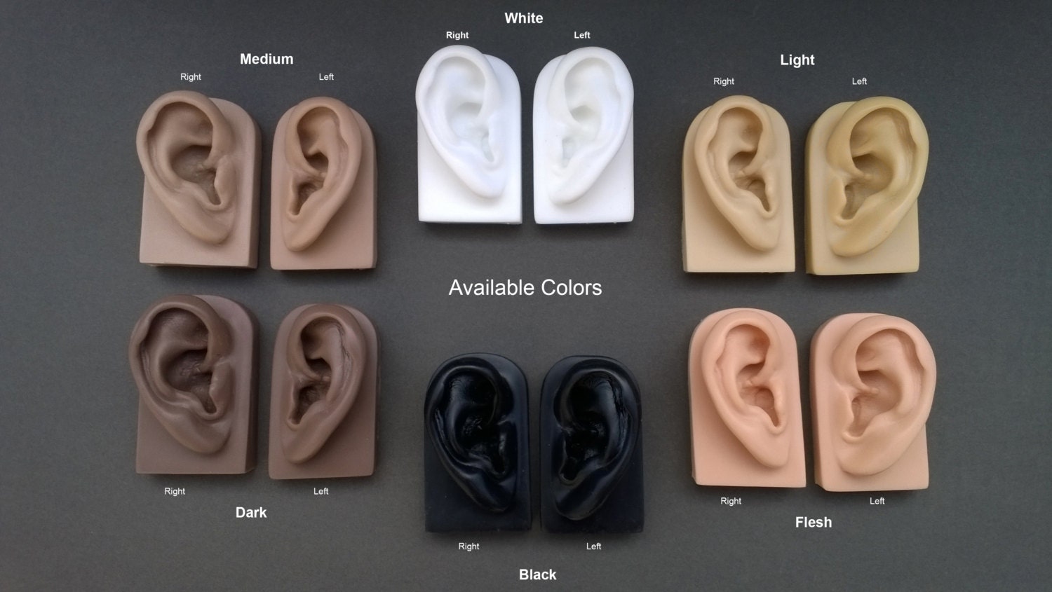 Soft Flexible Model Ear Displays for Acupuncture Jewelry