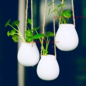 ONE Mini Hanging Basket Planter for succulent, water plant, air plant...