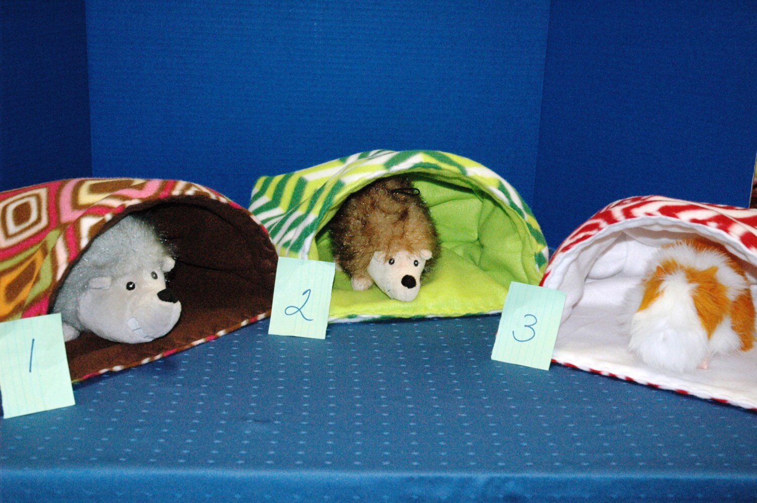 Guinea Pig Snuggle Hut large 12X12 pouch by DreamersStudio on Etsy