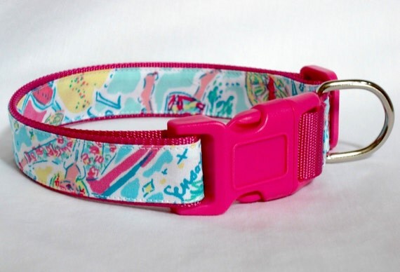 lilly pulitzer dog accessories
