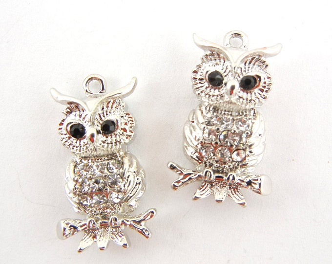 Pair of Rhinestone Encrusted Owl on Branches Charms