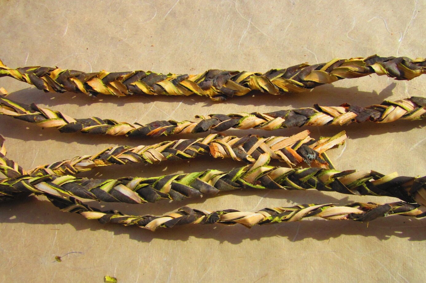 Rowan Wood Bark Braided Bark Sacred Wood Rowan Tree Magic