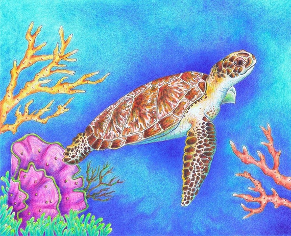 Items similar to Sea Turtle Art Print 5x7, Color Pencil Art, turtle ...