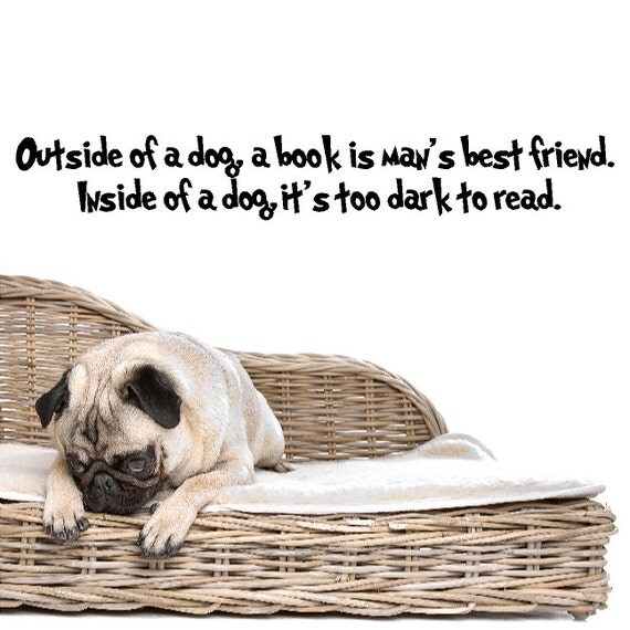 Outside of a dog A book is a man's best friend....Funny