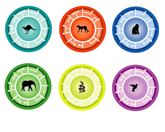 wild kratts creature power discs printable free
