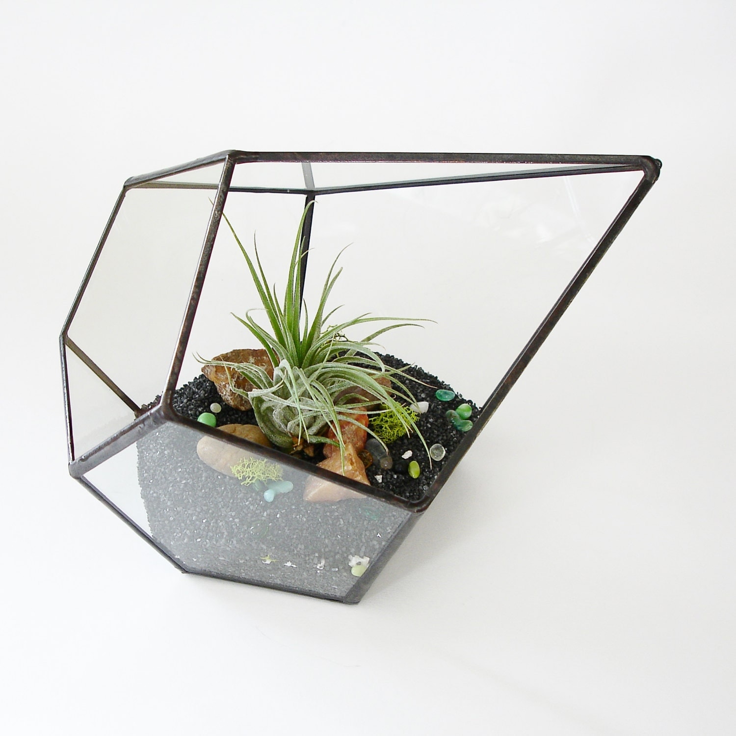Glass Terrarium with Air Plant Geometric Terrarium Geometric