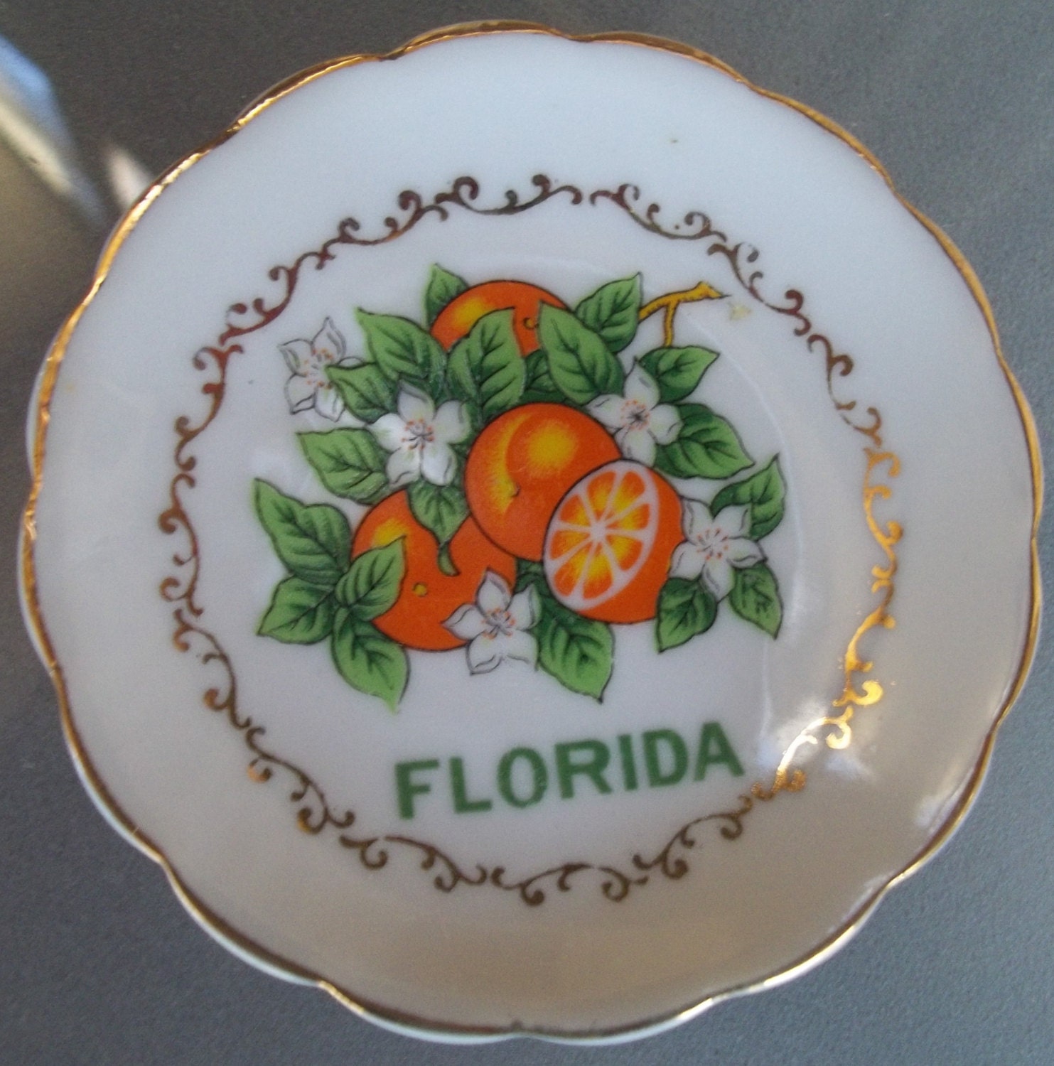 Souvenir Plate of Florida Vintage Travel by VintageCoolETC on Etsy