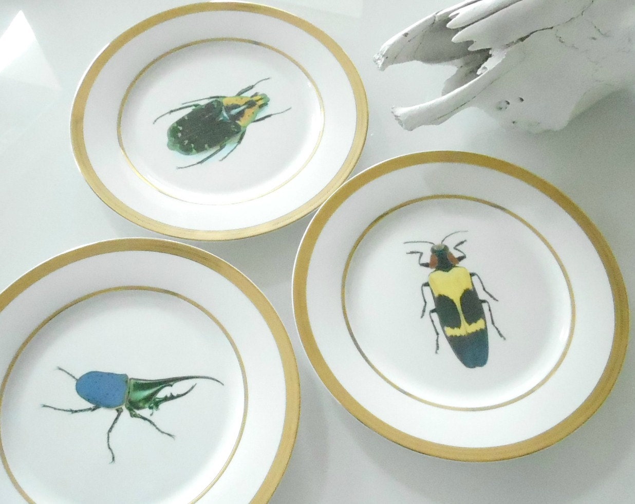 Sale Gold Porcelain Buginsect Dinner Plates - Funky Dishes Custom Plates Custom Dinnerware Custom Porcelaincustom Tableware Customized Tablewaresilver Dinnerware Silver Dishessilver Plates sale gold porcelain buginsect dinner plates - funky dishes custom plates custom dinnerware custom porcelaincustom tableware customized tablewaresilver dinnerware silver dishessilver plates