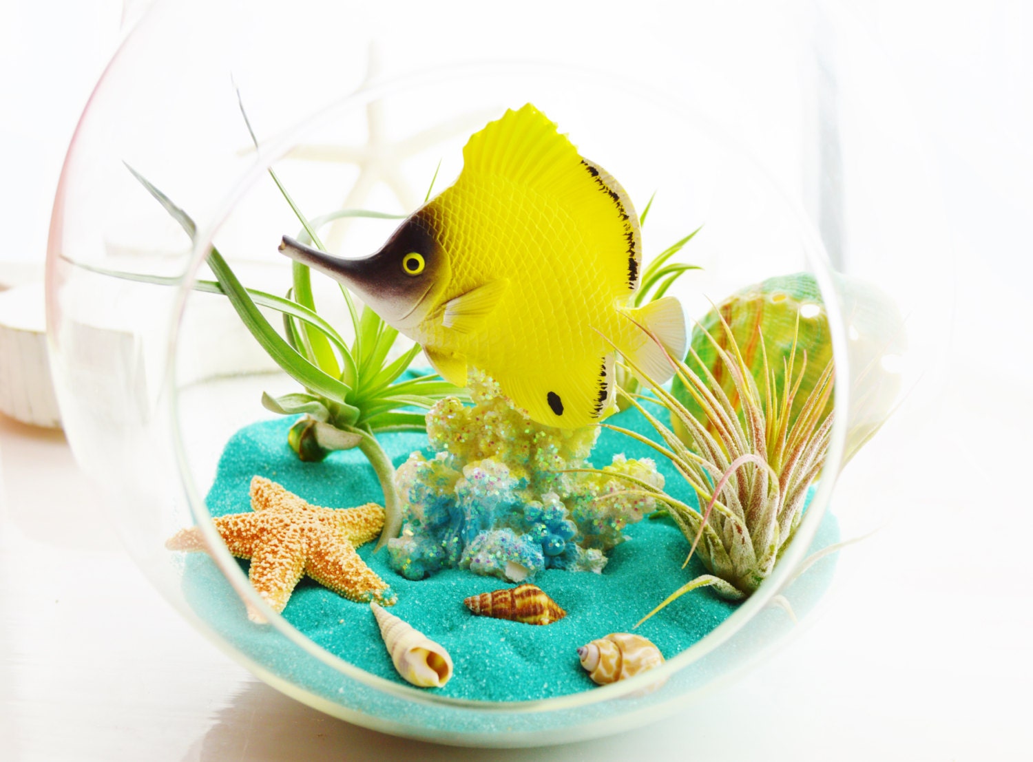 My Aquarium Terrarium Round Glass Globe Sitting Terrarium