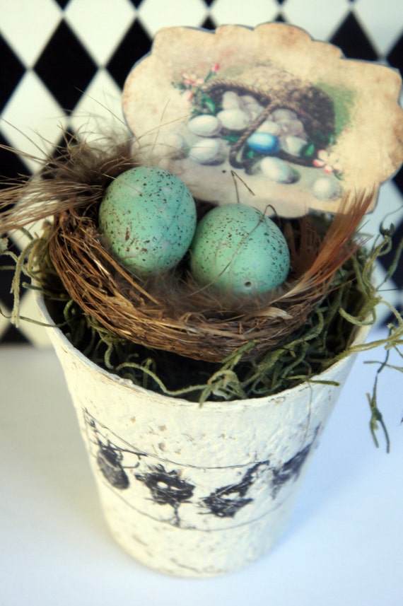 Nest with Eggs in Whitewashed Peat Pot