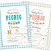 Printable Custom Birthday Party Invitation Template - Teddy Bears Picnic