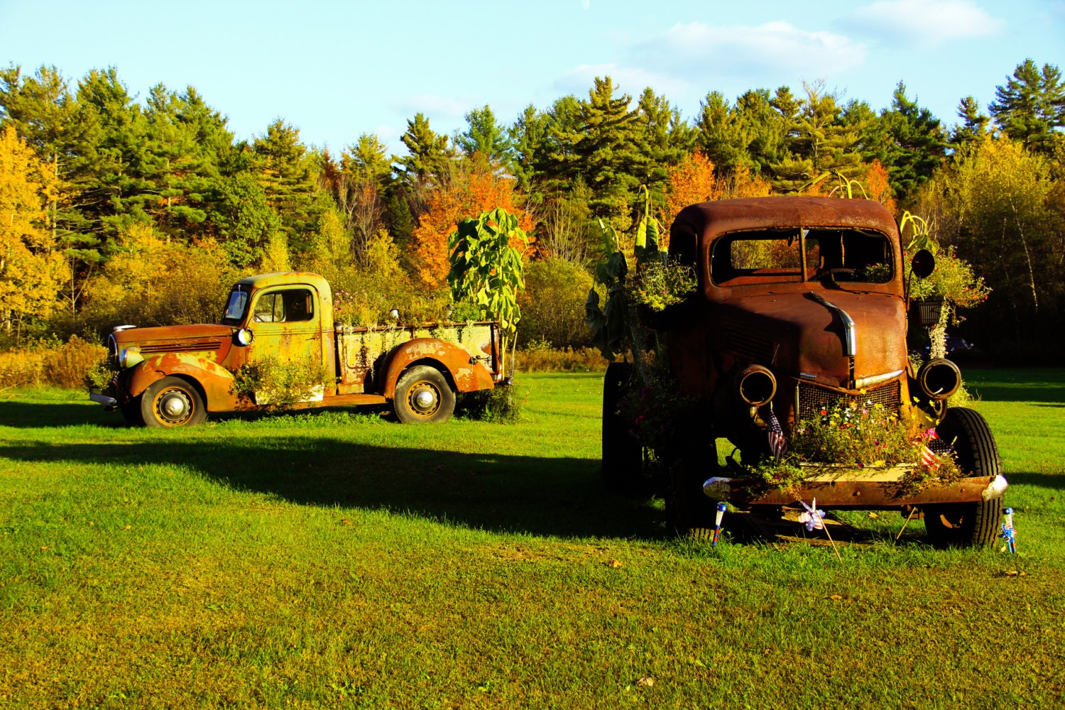 Antique Rusted Trucks Bradley Maine 8 x 10 by CelesteCotaPhoto