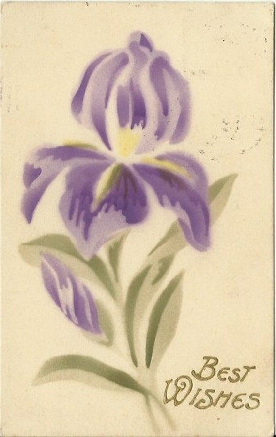 Antique Postcard Purple Iris Stenciled Brushed Art "Best Wished" Greeting Card 1910