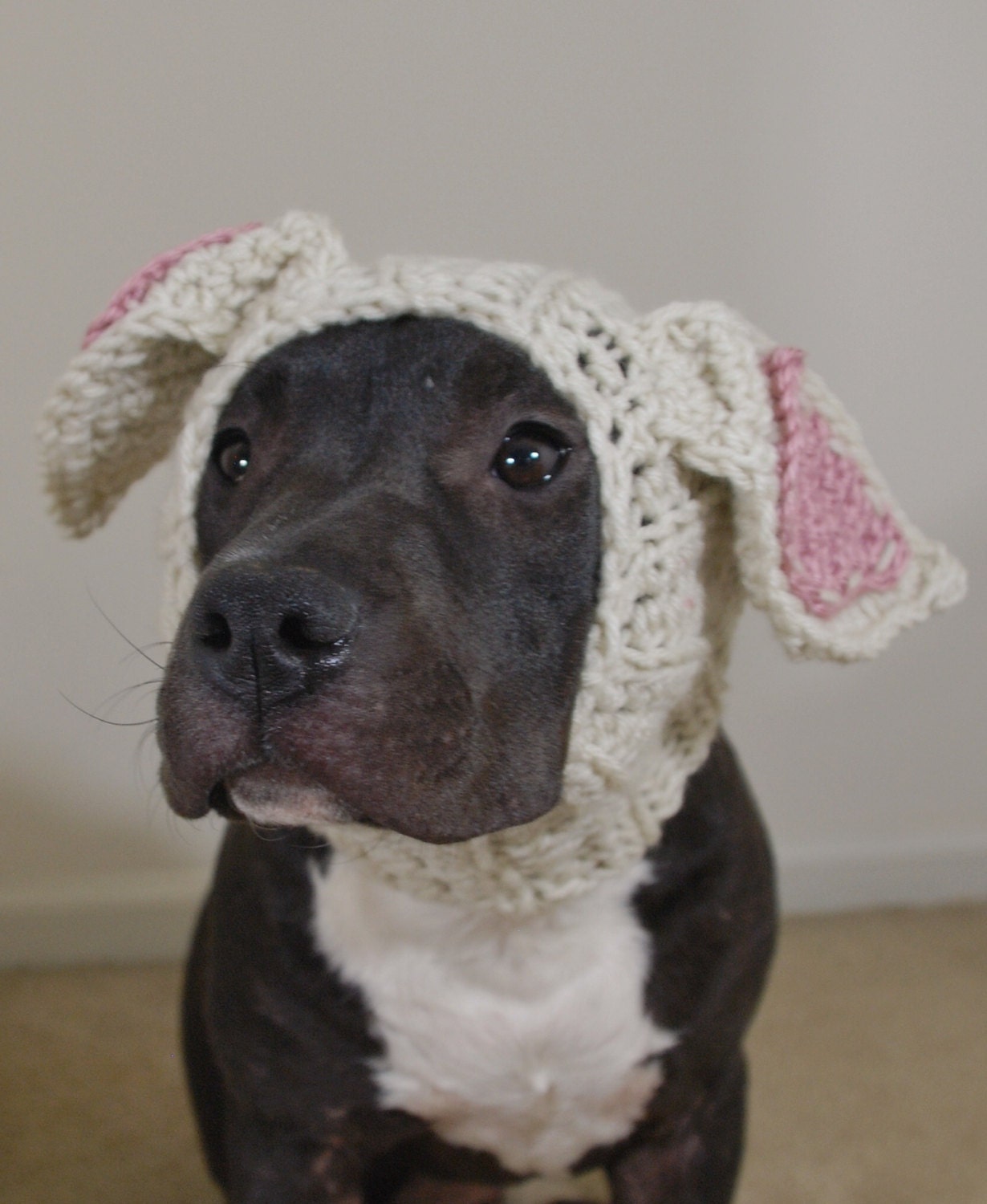 Crochet Dog Snood Beige Rabbit MADE TO ORDER