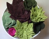 Felt Succulents Set of Seven
