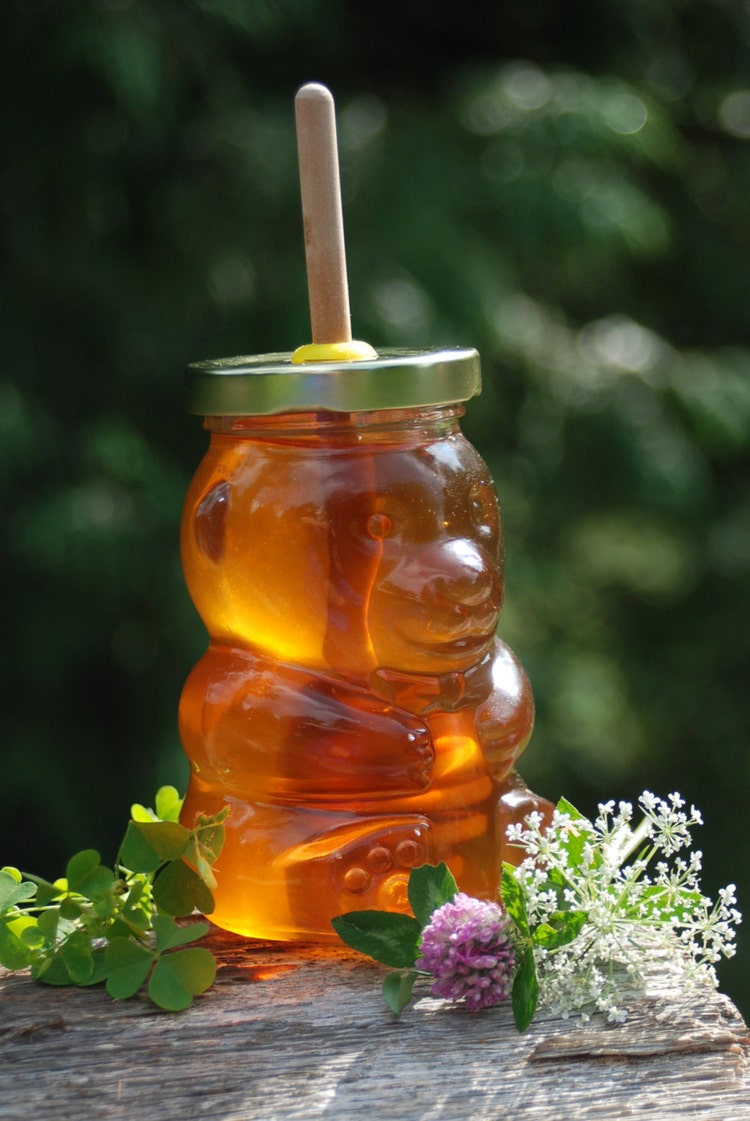 Honey Bear Honey Jar with Birch Dipper by BondurantMountainArt