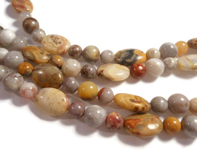 Jay King necklace, Mine Finds signed, crazy lace agate long 43" sterling clasp, natural gemstones in brown shades