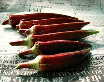 Red Velvet Okra, colorful heirloom, 25 seeds, gorgeous plant, loves summer heat, 55 days, best for gumbo, great deep fried