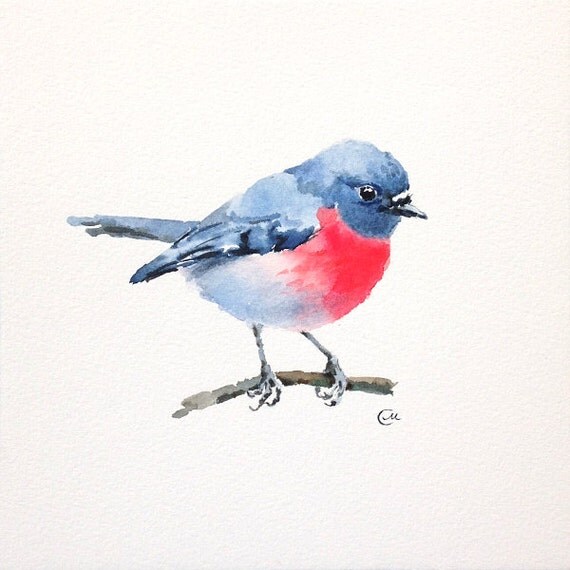 Watercolor Bird Pink Robin - Original Watercolor Painting 7 4/5 x 7 4/5 inches