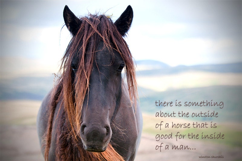 Inspirational quotation horse photo with quote rustic decor