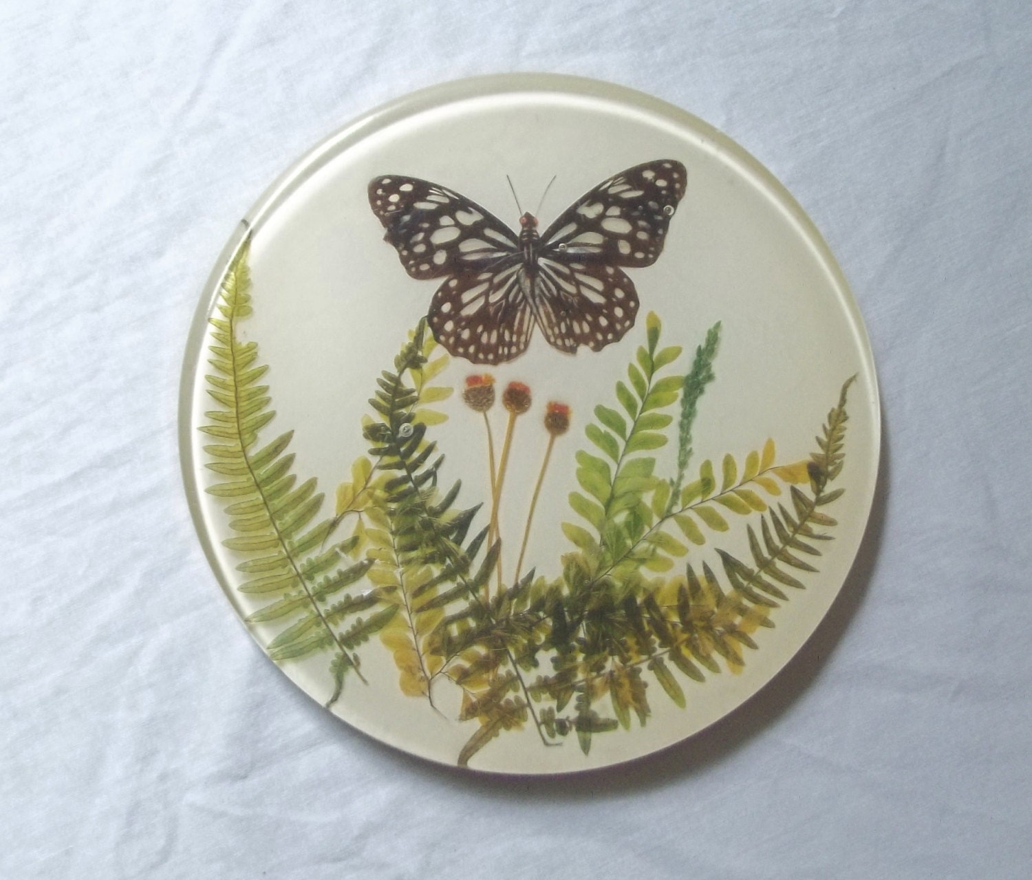 Glass Trivet Vintage Woodland Trivet by SouthernWaterlillies