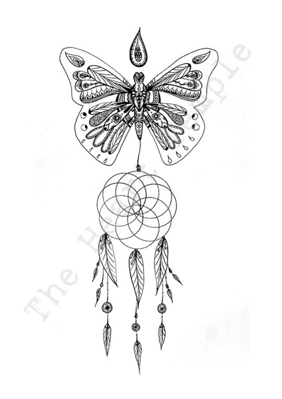 dreamcatcher butterfly feathers design art drawing dreamcatcher butterfly feathers design art drawing