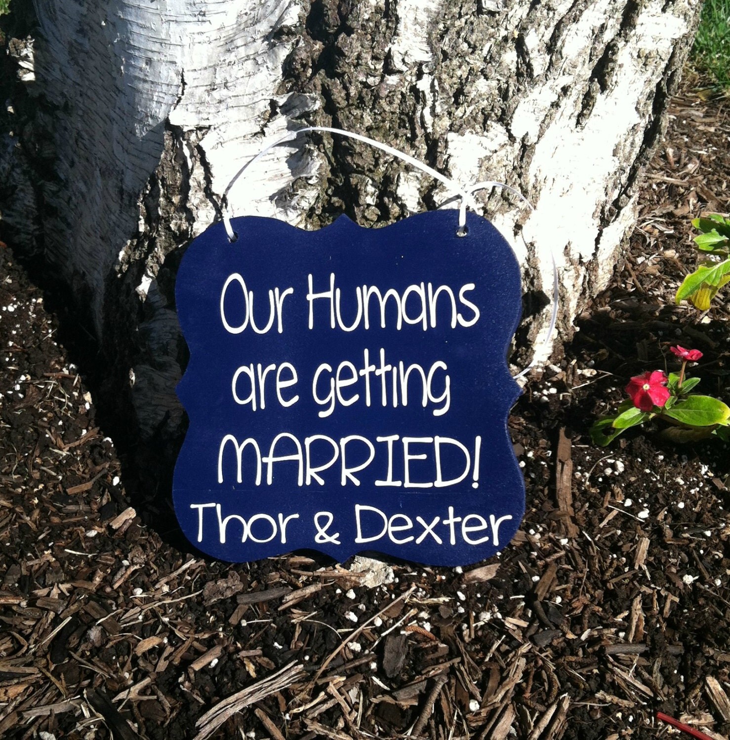 Our Humans Are Getting Married Sign Save the Date Sign for